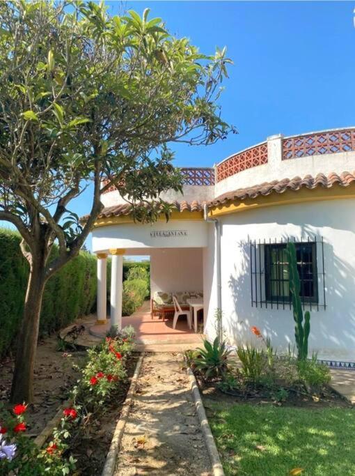 Vila Tierra Del Sur Conil De La Frontera Exteriér fotografie
