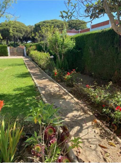 Vila Tierra Del Sur Conil De La Frontera Exteriér fotografie